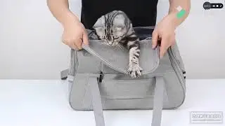 Pet carrier bag with mesh windows for traveling