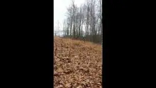 Racing Pogo