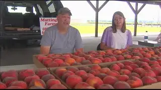 Pesticide ban could hurt farmers