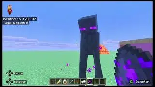 Boss zeigt geheime Minecraft-Tricks! 😱 Dinnerbone Creeper, OP-Iron-Golem & Enderman | PapaundBoss