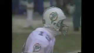 Chicago Bears vs Miami Dolphins 1991