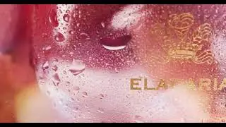 Eladaria from The House of Creed