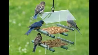 4528 Bluebird Landing Twin Tray Feeder , available exclusively at duncraft.com