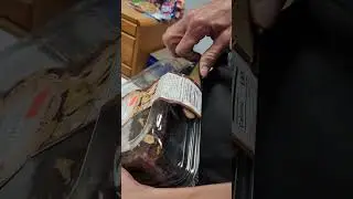 Belt flap trauma