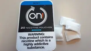 ON! MINT 8MG PORTION DIP REVIEW FROM NORTHERNER