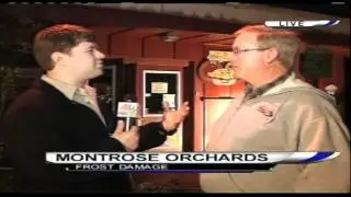 Montrose Orchards Frost Damage