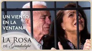 Celia culpa a sus exsuegros de la tragedia de su hija | La Rosa de Guadalupe