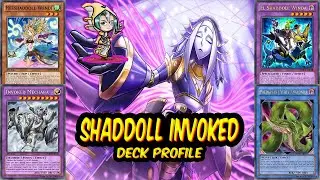 Shaddoll Invoked Deck Profile [April 2020]