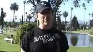RAMONESFOREVER.COM COMMERCIAL: CJ RAMONE TOUR 2008-08-01