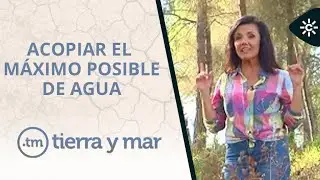 Tierra y Mar | Las balsas de riego