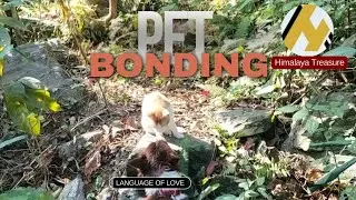 Desperate Coco Meets Angata Again