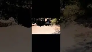 &ldquo;HOW TO CROSS CYPRESS CREEK&rdquo; Log Bridge Cape York #OTT #australia #camping #shorts