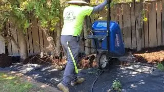Spring season, Cleaning and trimming