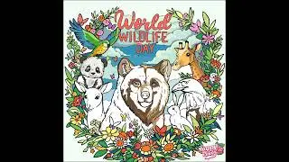 World Wildlife Day Timelapse #artlovers #digitalart #froggysart #timelapseart #worldwildlifeday
