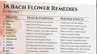 37 Bach Flower Rememdies SUPPORT THE BODY NUTRITIONALLY FOR STRESS SUPPORT Lady Eden ch 16 WYBU