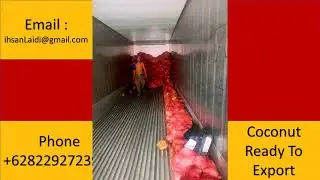 +6282292723922 coconut supplier, wholesale, buy Bulk price for export to  Vanuatu