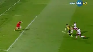 Bornescu, interventie magistrala!