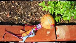 Easy Rattle Making With Shaman Bob