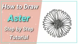 Day 1 | How to Draw a Aster flower| Step By Step | Floral Illustration | Line shading