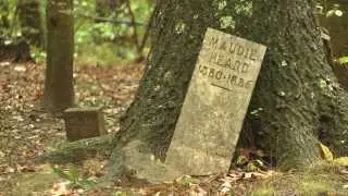 Historic cemetary may be bulldozed