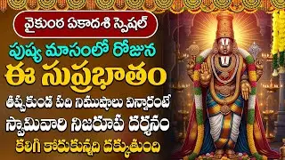 ముక్కోటి ఏకాదశి వెంకటేశ్వర సుప్రభాతం వింటే కోటీశ్వరులవుతారు | Venkateshwara Suprabhatam Telugu