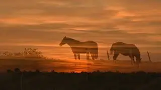 NUESTRO ORGULLO- TURCATTI-PEREIRA