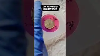 Custom Coin Preservation Resin Keychain &ndash; Personalized Keepsake Gift