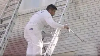 Top-Rated House Painters Testimonials | Five Star Painting&reg;