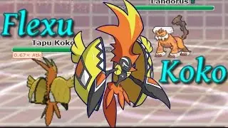 Flexu Koko w/Dokkerich