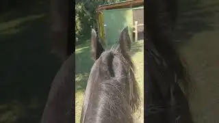 Adonis, Arena Ride!