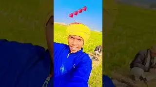 rum se milkar jana Hai#trendingshorts #viralvideo #shorts #hindi songs