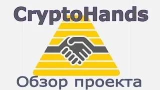 CryptoHands   Обзор проекта, подробности