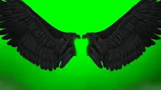 green screen wing,s video editing 2023 | Green background effacts for wing s black and white wing s