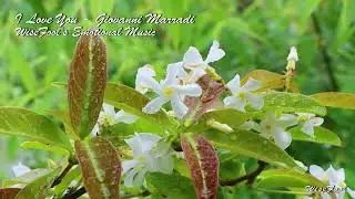 I Love You - Giovanni Marradi