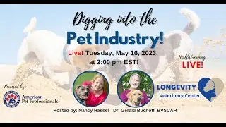 What Is a Holistic Vet? With Dr. Gerald Buchoff, BVSCAH - Digging Into the Pet Industry - Ep. #27