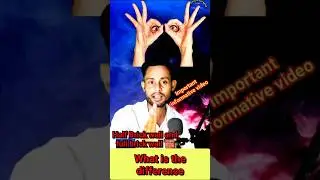 Half Brick Wall vs Full Brick Wall | क्या फर्क है?