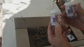 Осень Время приобретать посадочный материал