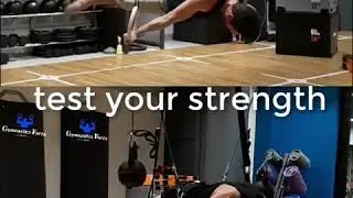 Train all calisthenics, gymnastics,cross fit skills with gymnastics forza system
