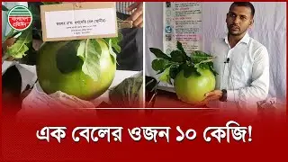 ফল মেলায় &lsquo;১০ সেরি বেল&rsquo; দেখতে দর্শনার্থীদের ভিড় | Fruit Fair | Blue Water Park Cumilla