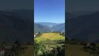 Thragom, Kanglung. The famous rice fields of KANGLUNG