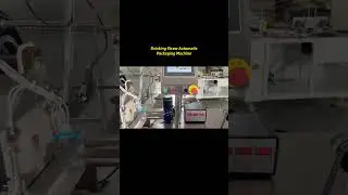 100 Straws Automatic Counting Packing Machine #automaticpackingmachinery #strawpackingmachine