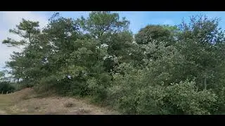 Balade dans la nature - le 10 novembre 2024