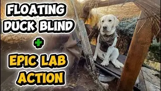 Handmade Floating Duck Blind Works ! Epic Day with My Yellow Lab 