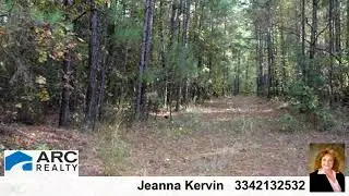 Lots And Land for sale - 1 Cooper Lane, Shorter, AL 36075