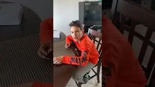 Funny kid confesses to eating a treat#funny #kids #confession #sweettreat