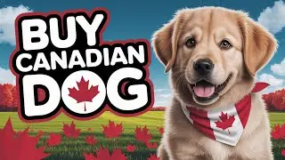Where to Buy Local Dog Pet Products in Ottawa & Gatineau &ndash; Shop Canadian! 🇨🇦