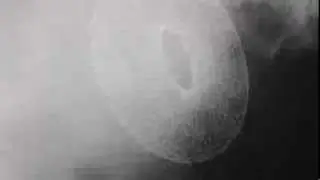 Holm/Mirland: &Aring;ndel&oslash;s (Breathless)