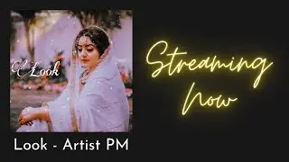 Look - Artist PM | Lyrics Video