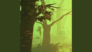Green Forest Rain