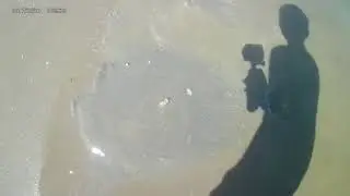 Regular Day In Port A
